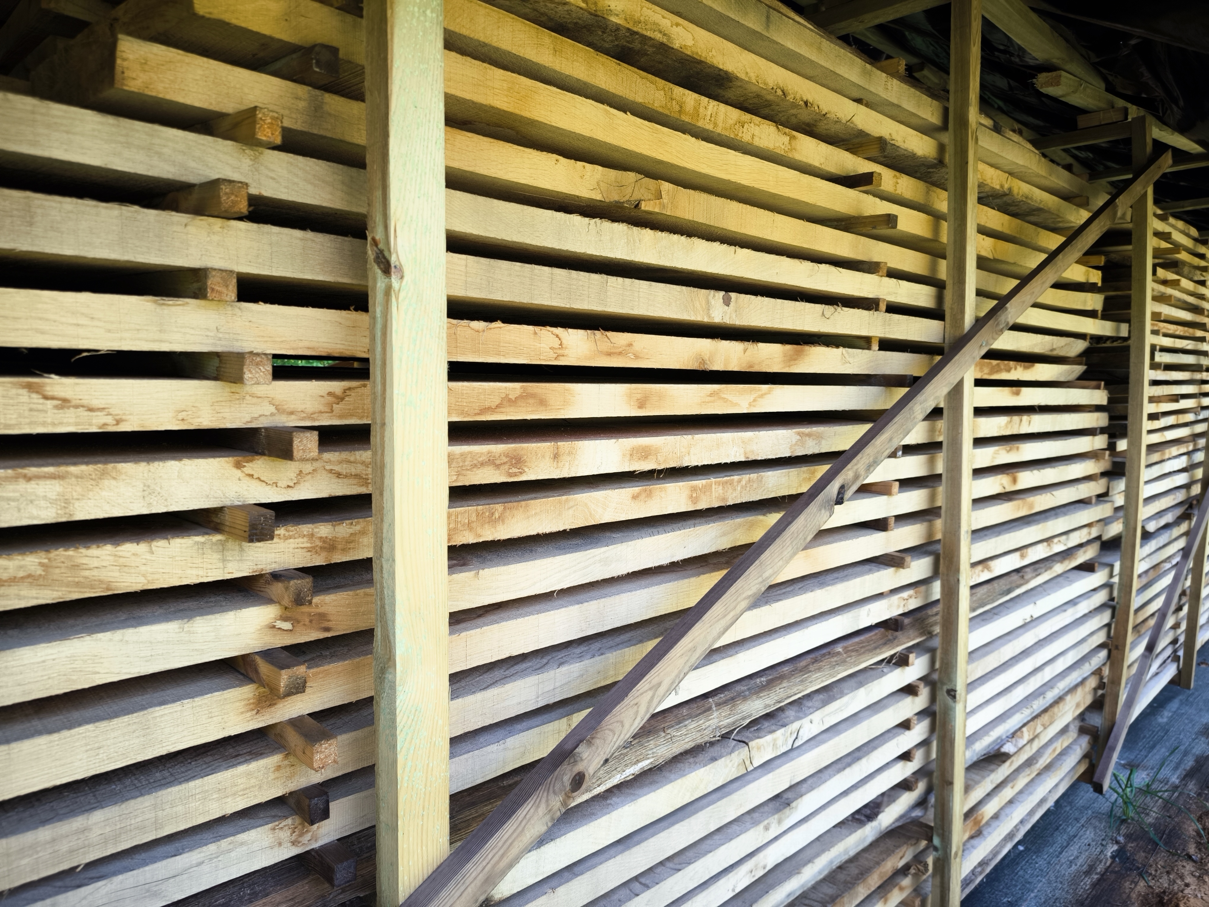 stosy tarcicy dębowej