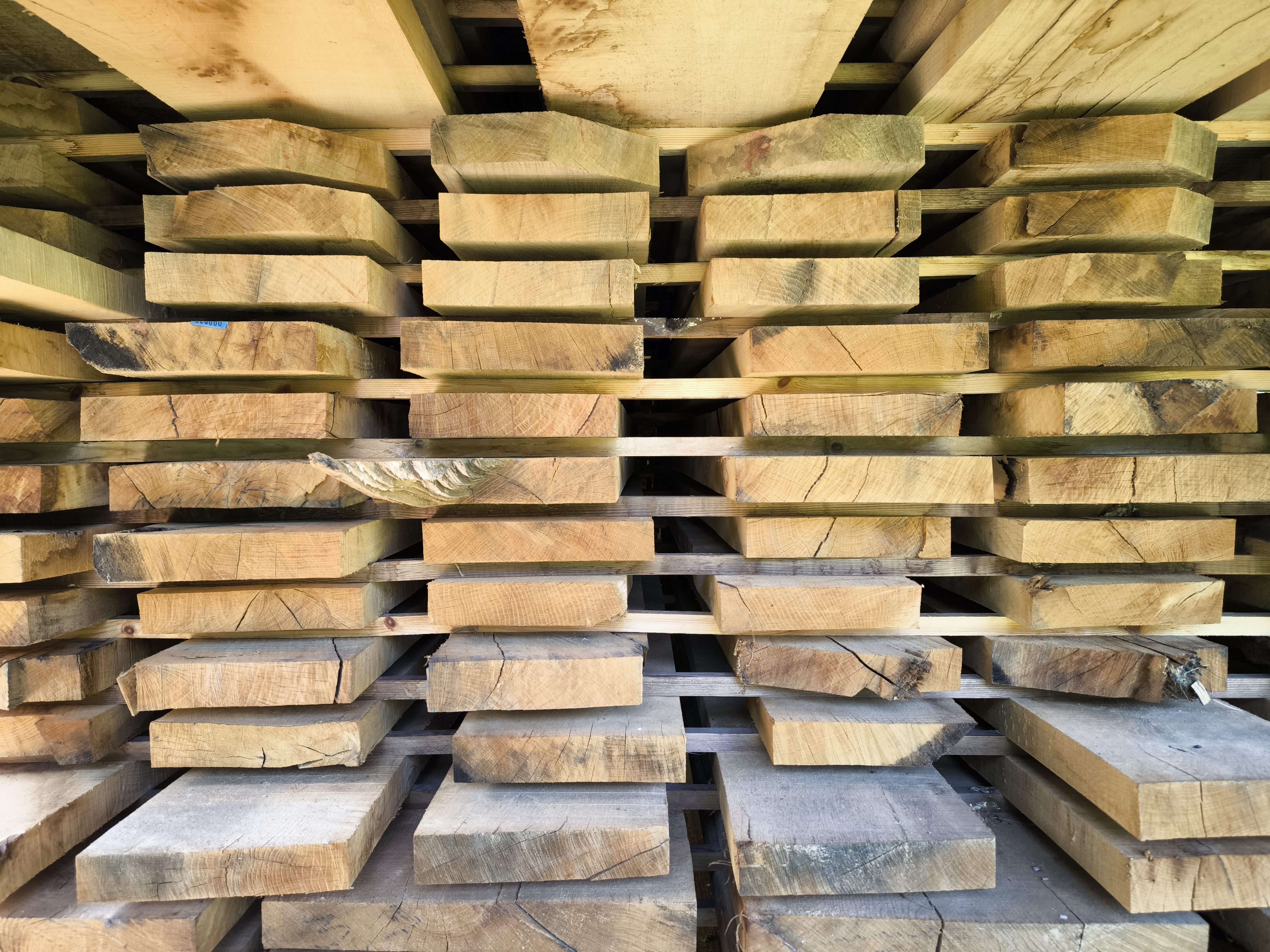 tarcica dębowa czoło szerokość